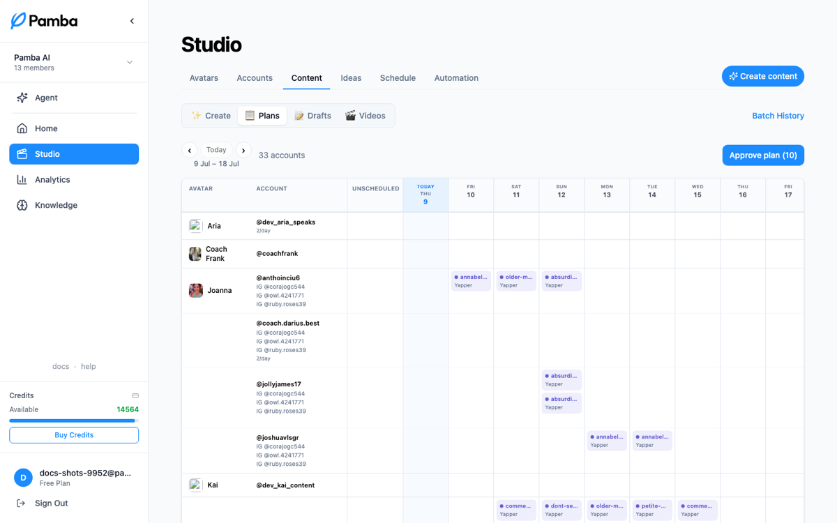 Plans: the planning grid, one row per account, format chips per day